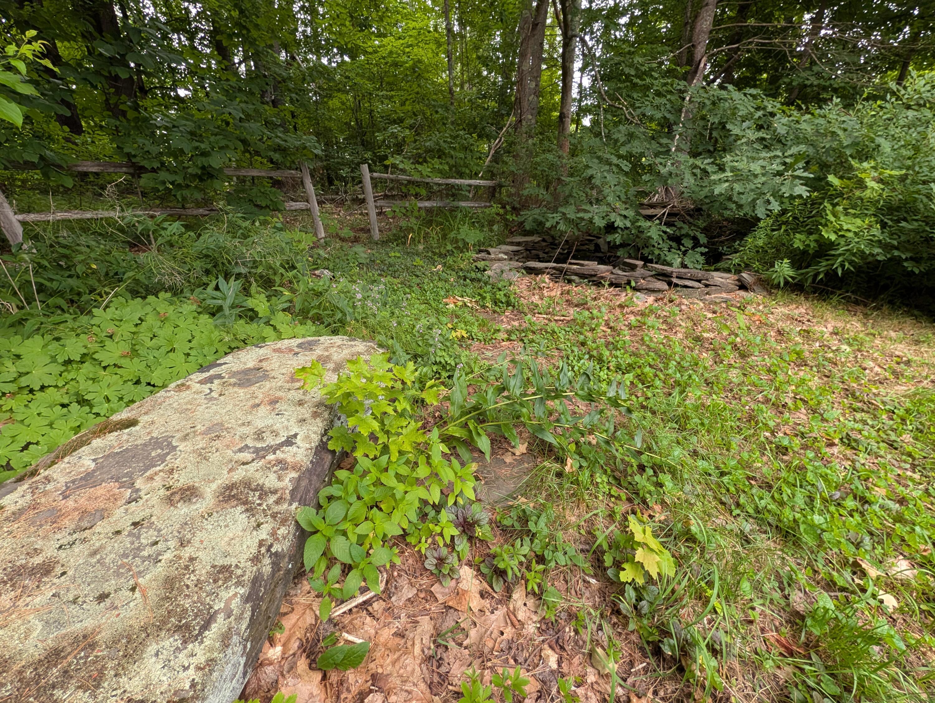 1816 Dexter Road, Dover-Foxcroft