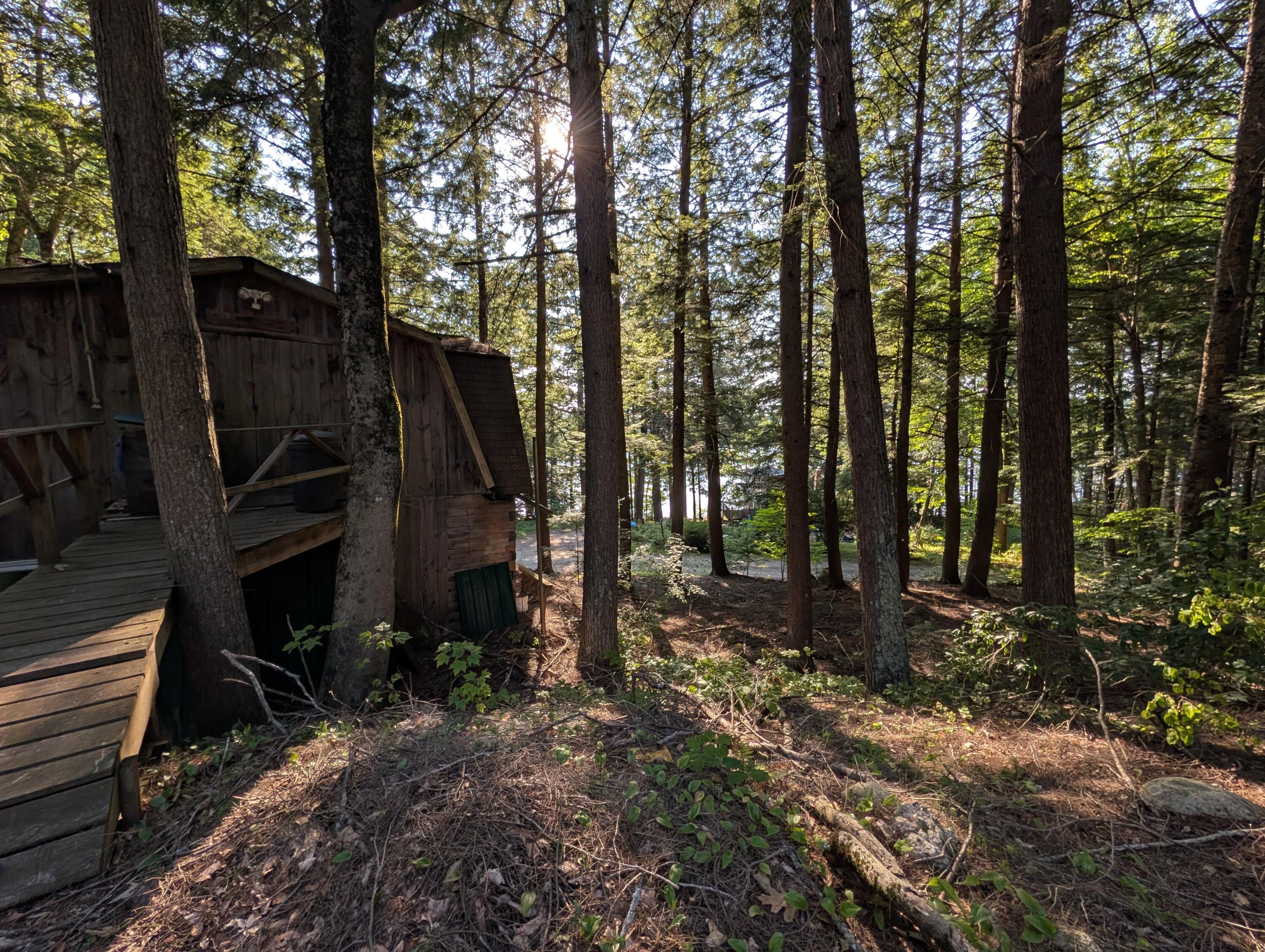 125 Mace Road