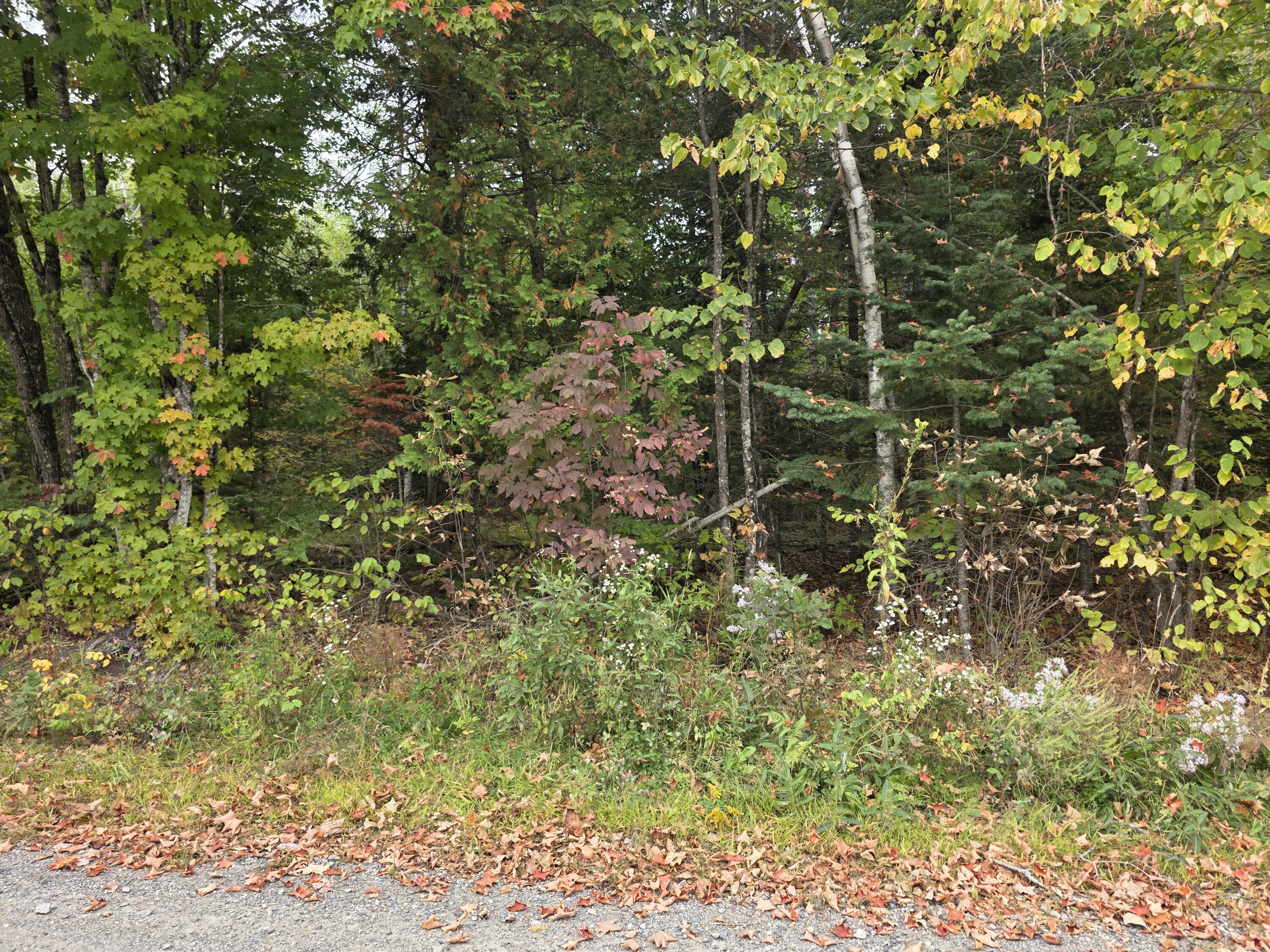 TBD Stickney Road