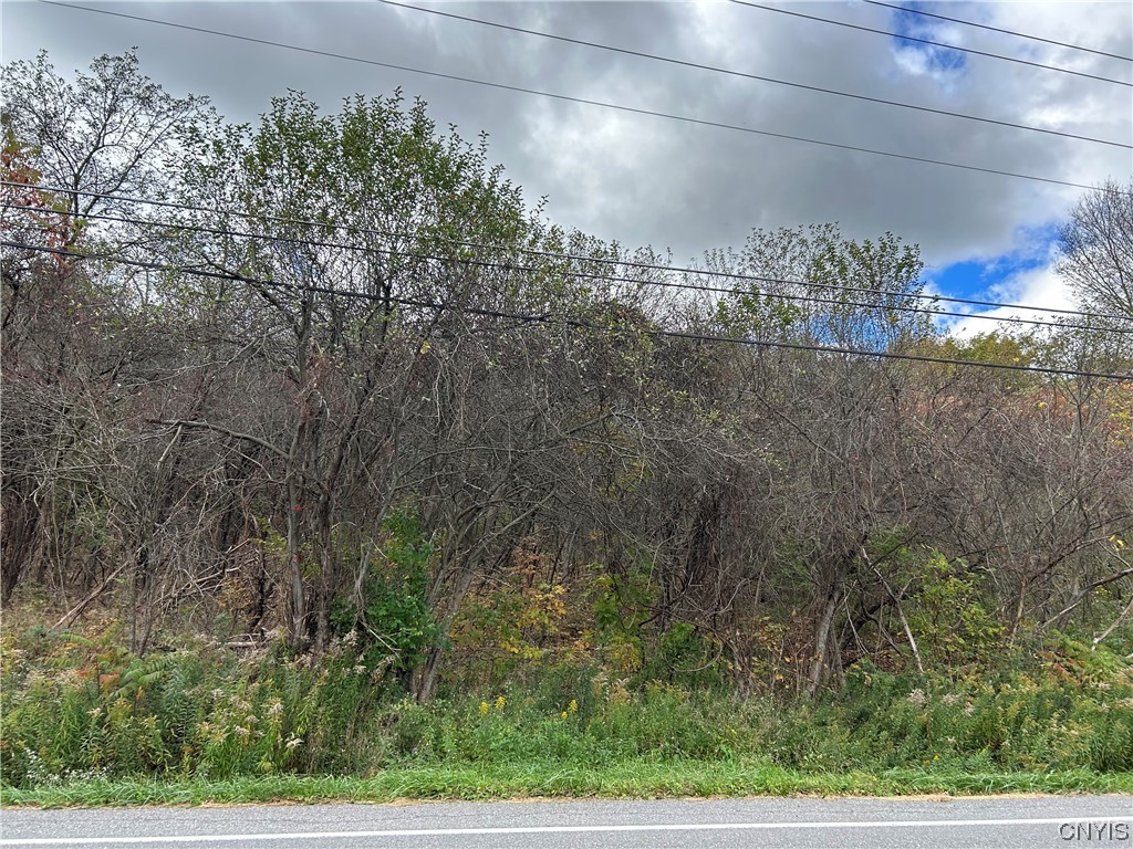 Lot 2 Apulia Road