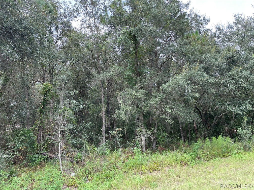 6597 W Erlen Lane