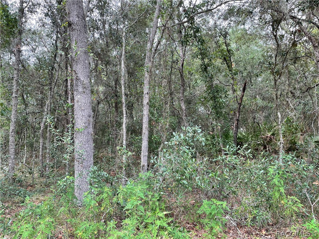 6623 W Erlen Lane