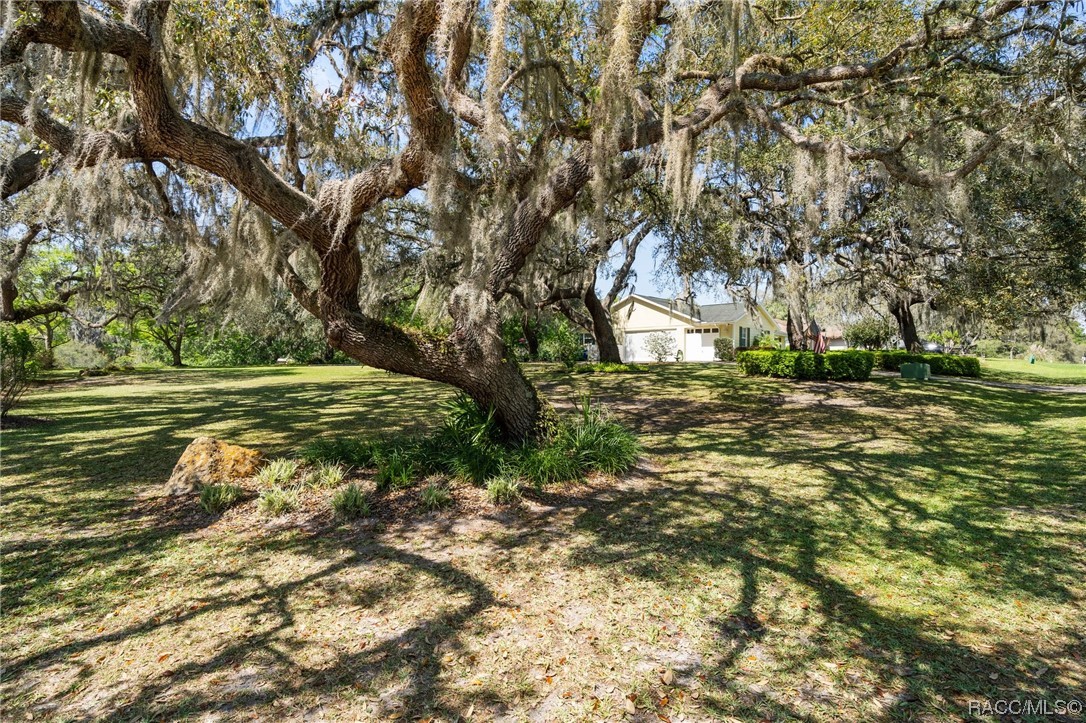2980 S Cygnet Terrace