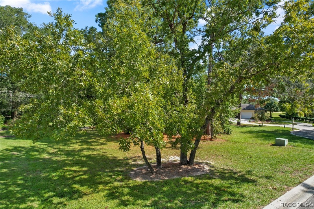 3381 N Bent Tree Point
