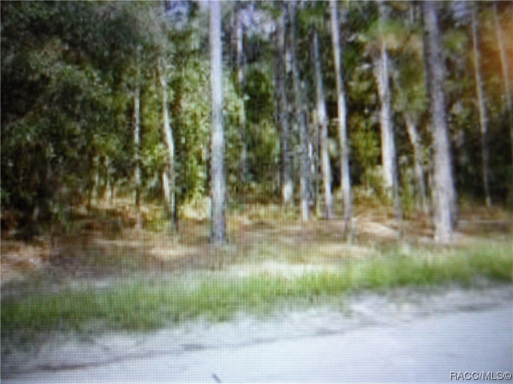 855 S Fairlane Terrace