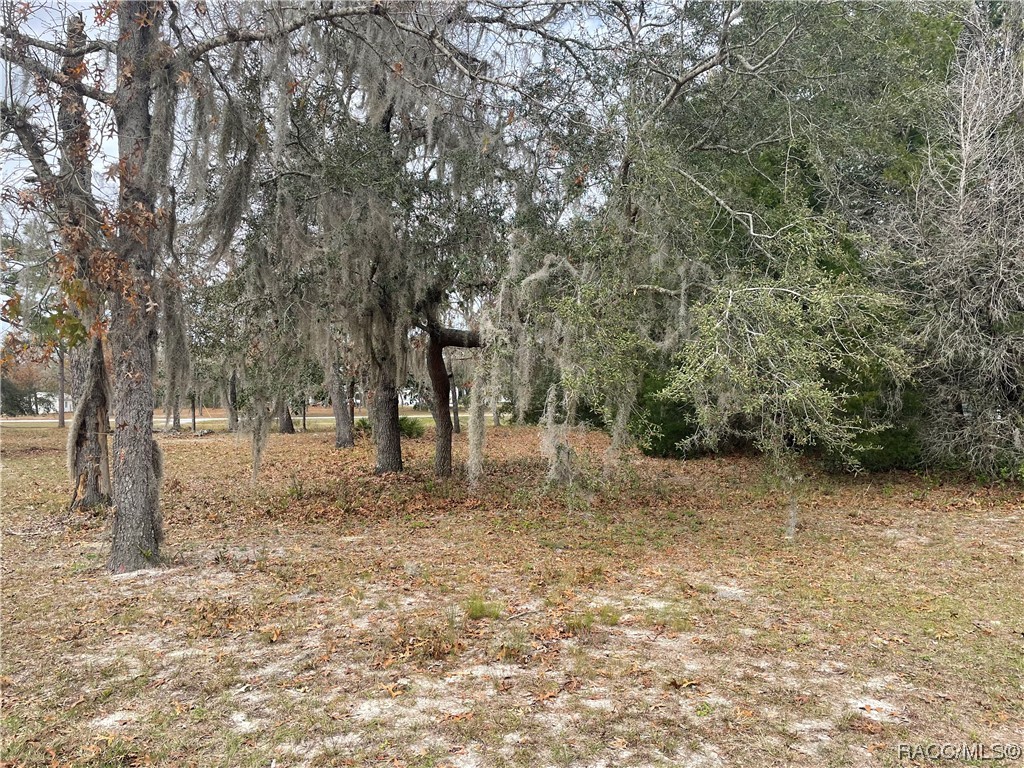 7227 W Jackson Lane