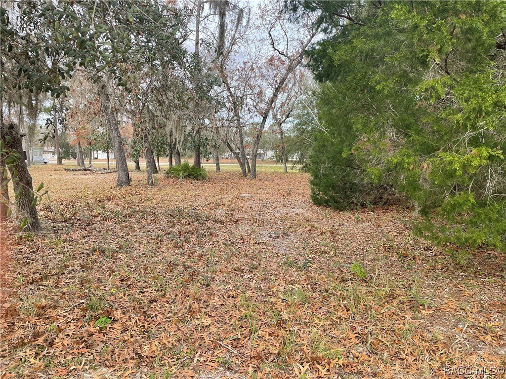 7227 W Jackson Lane