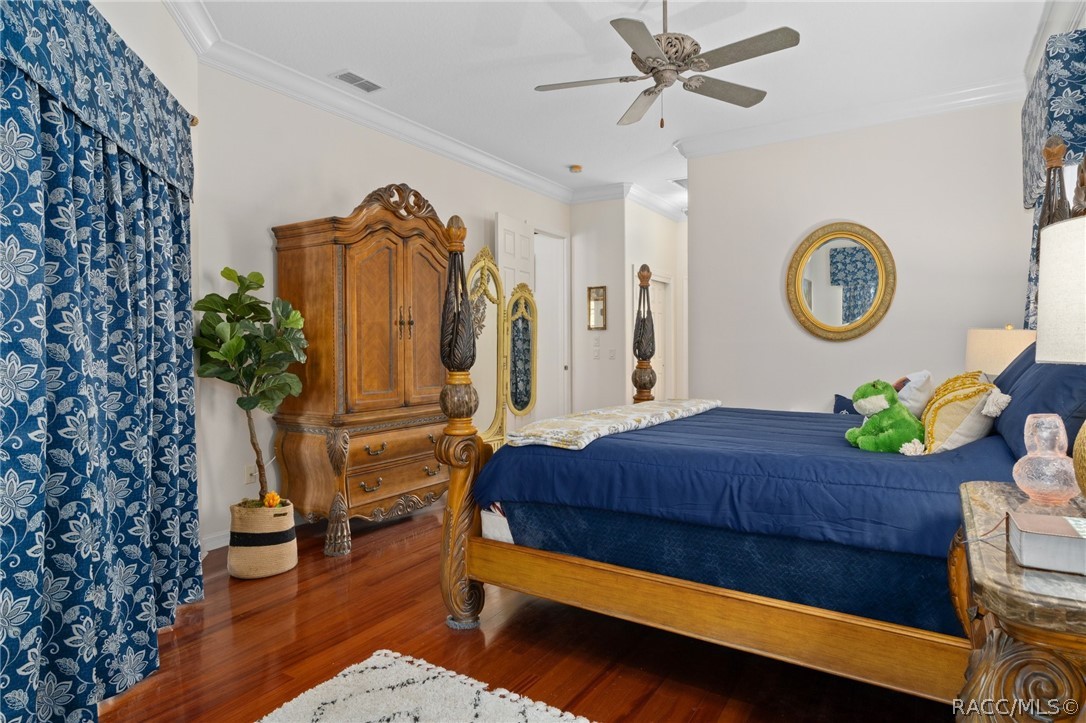 56 Black Willow Street