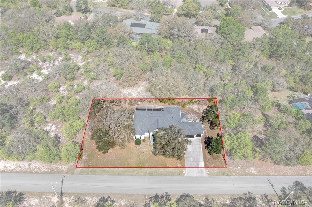 56 Black Willow Street