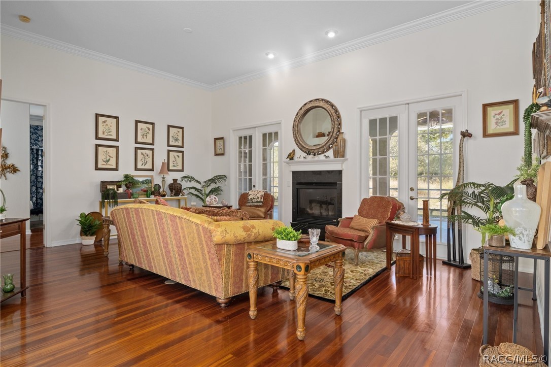 56 Black Willow Street