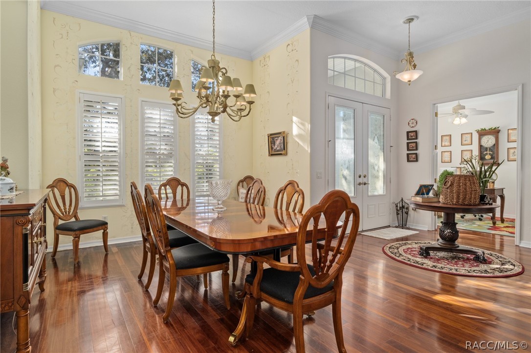 56 Black Willow Street
