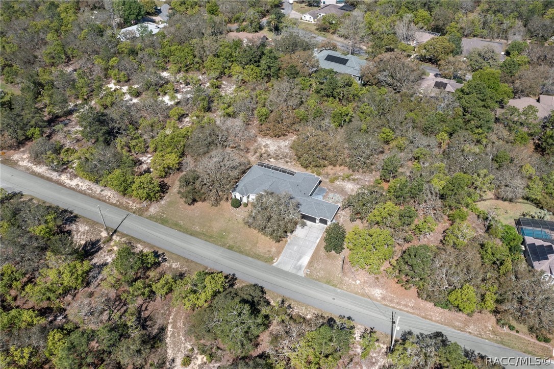 56 Black Willow Street