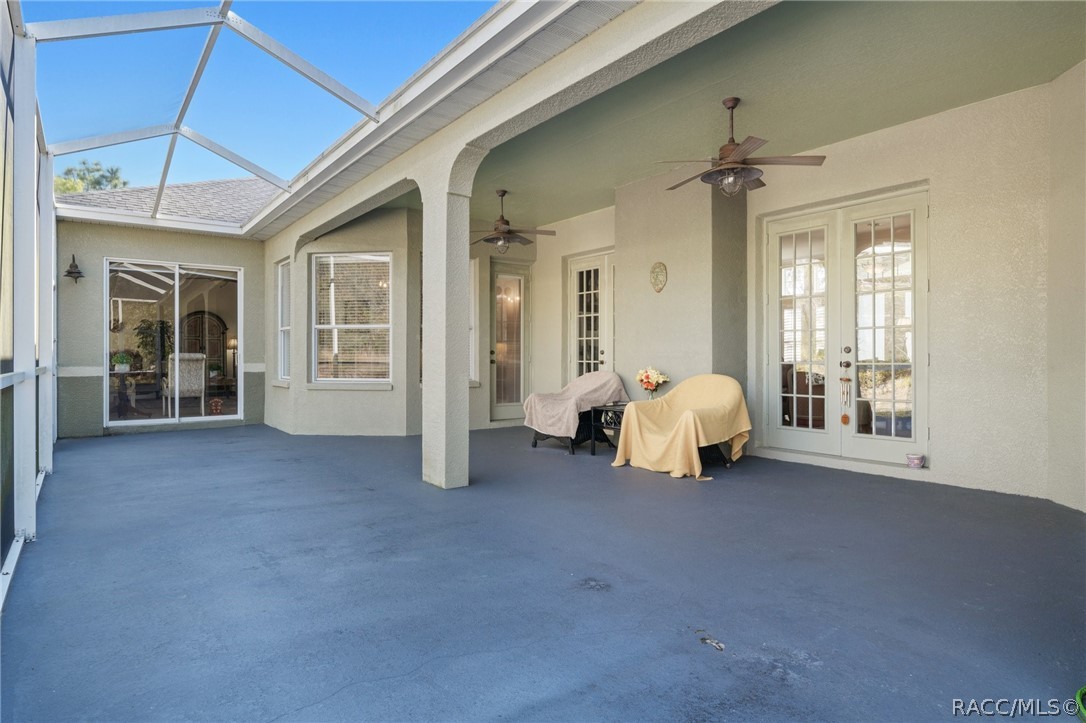 56 Black Willow Street