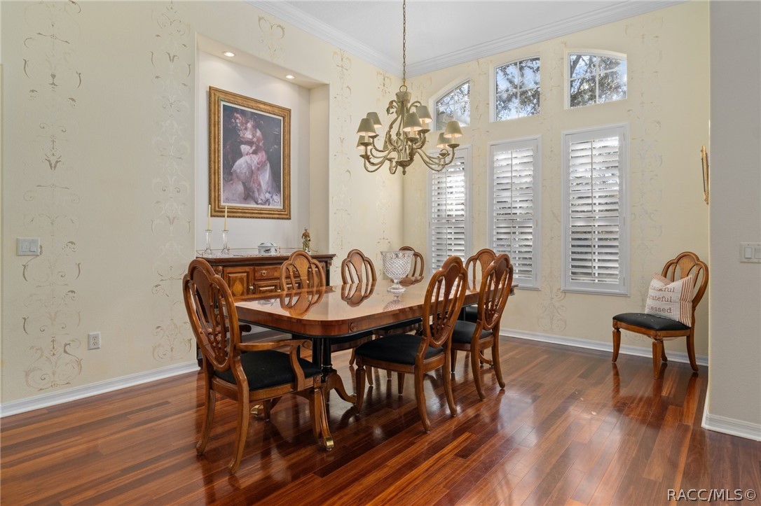 56 Black Willow Street