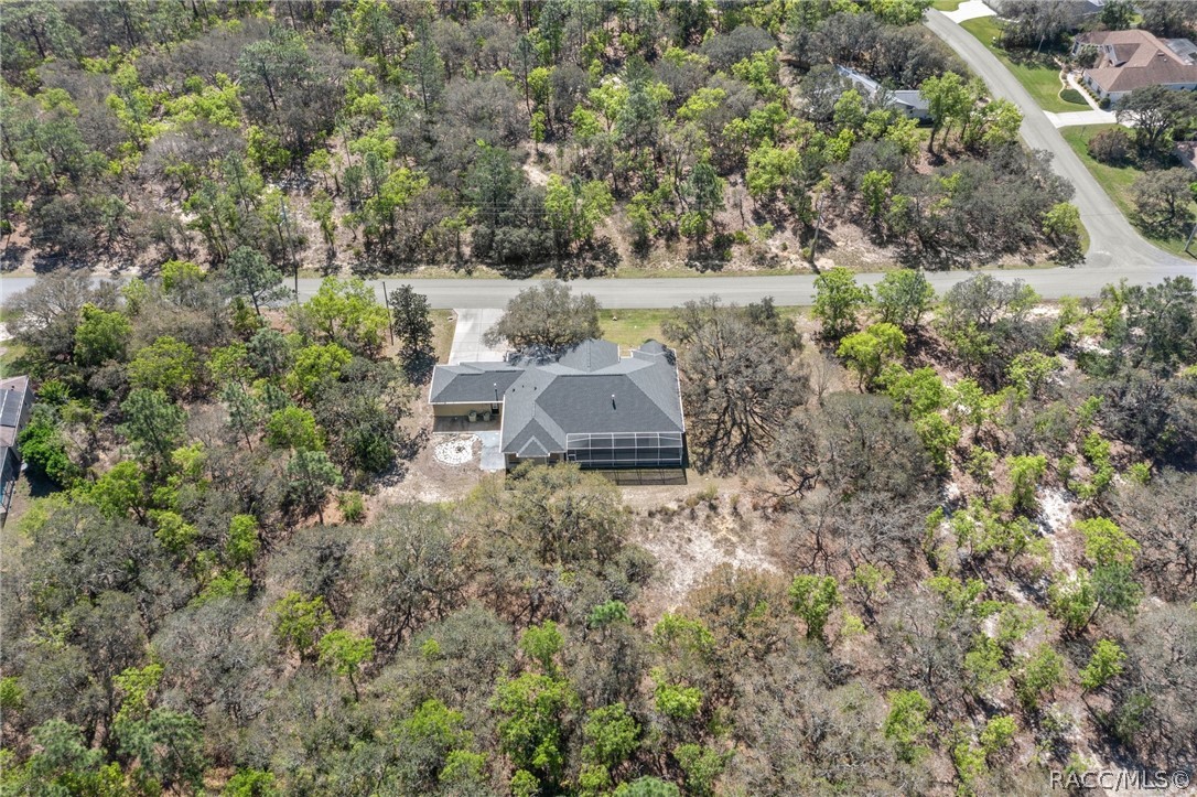 56 Black Willow Street