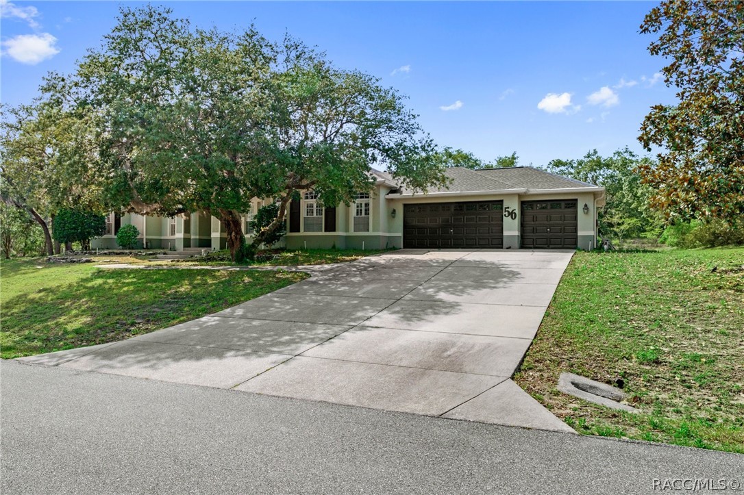 56 Black Willow Street