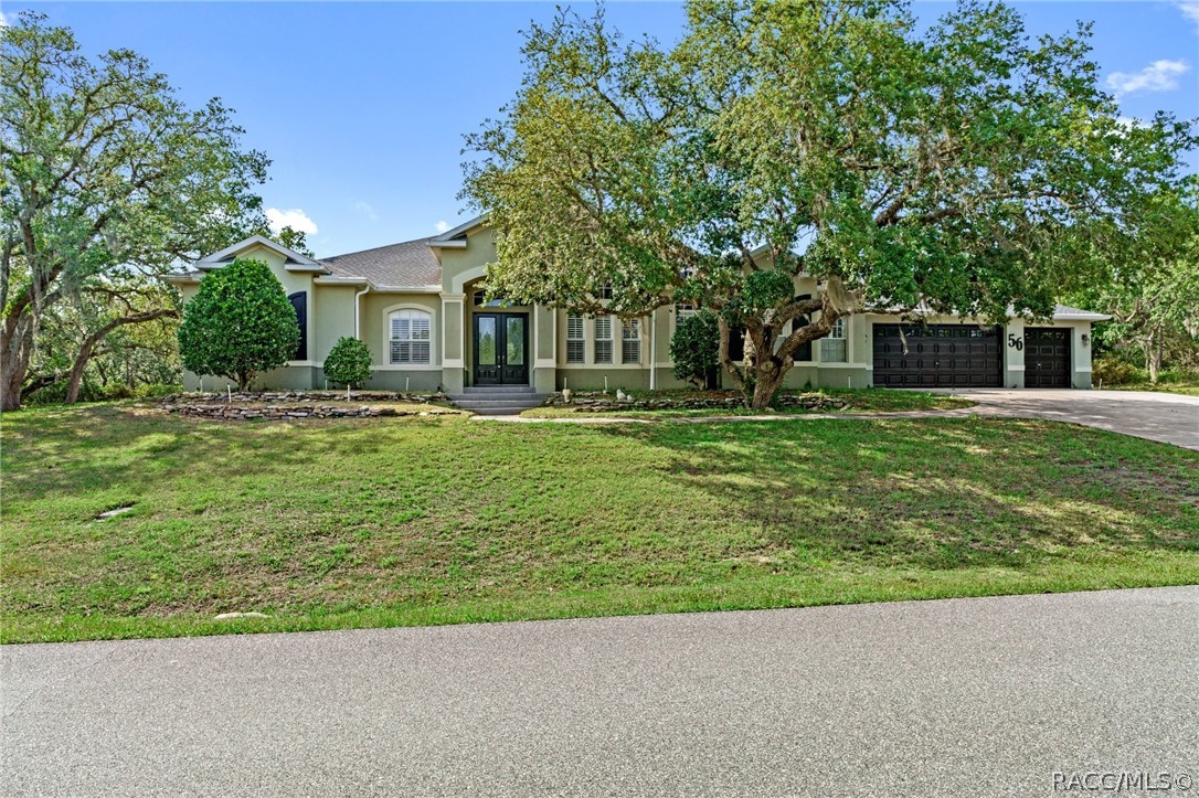 56 Black Willow Street