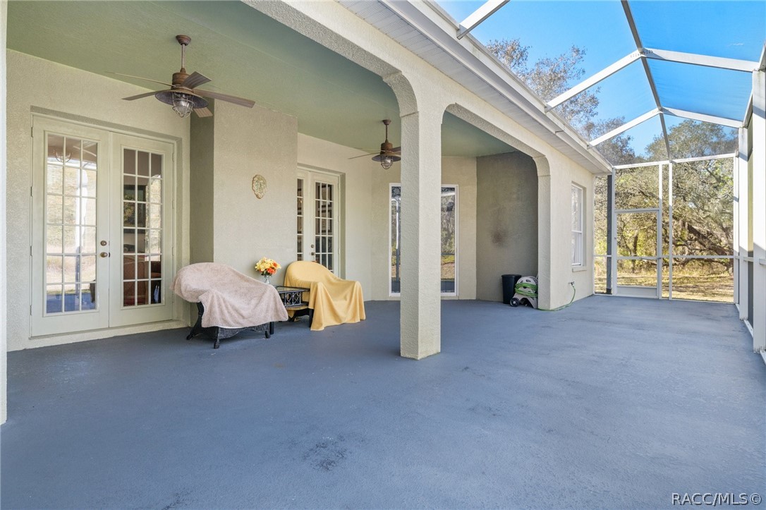 56 Black Willow Street