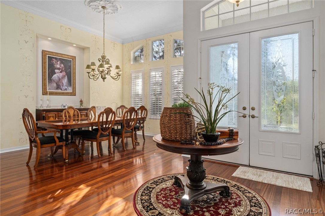 56 Black Willow Street