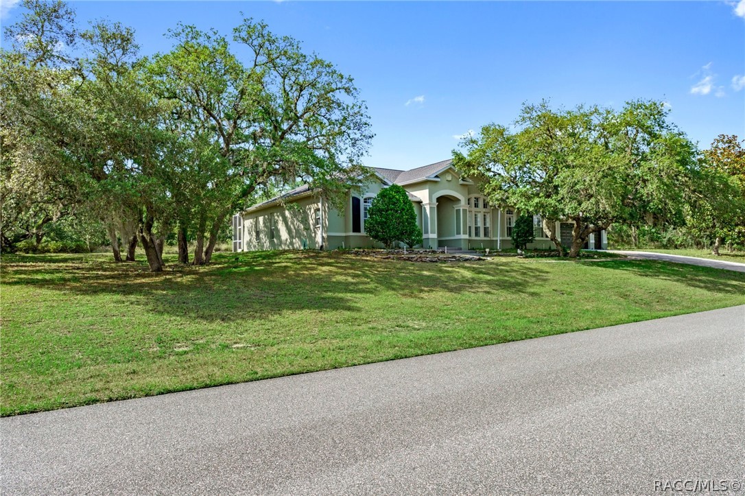 56 Black Willow Street