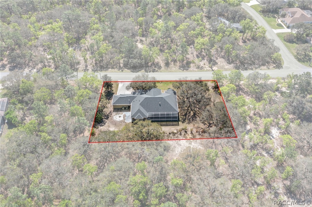 56 Black Willow Street