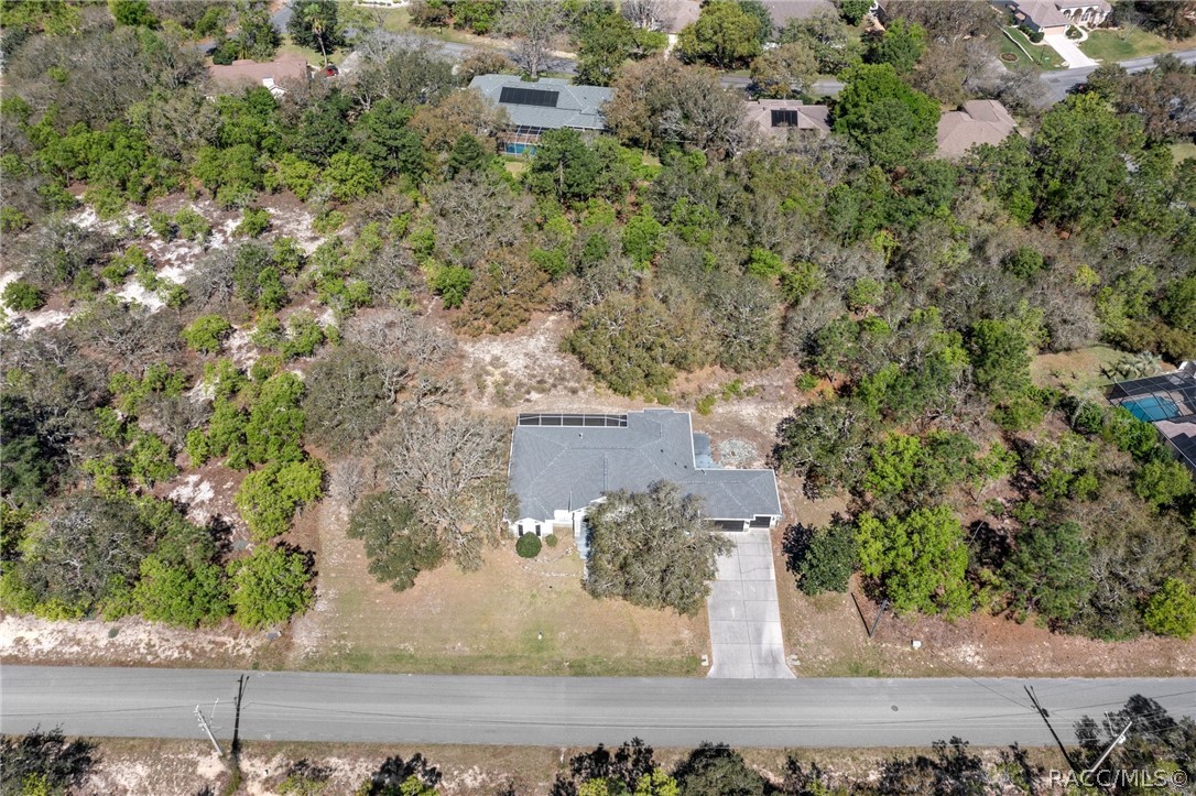 56 Black Willow Street