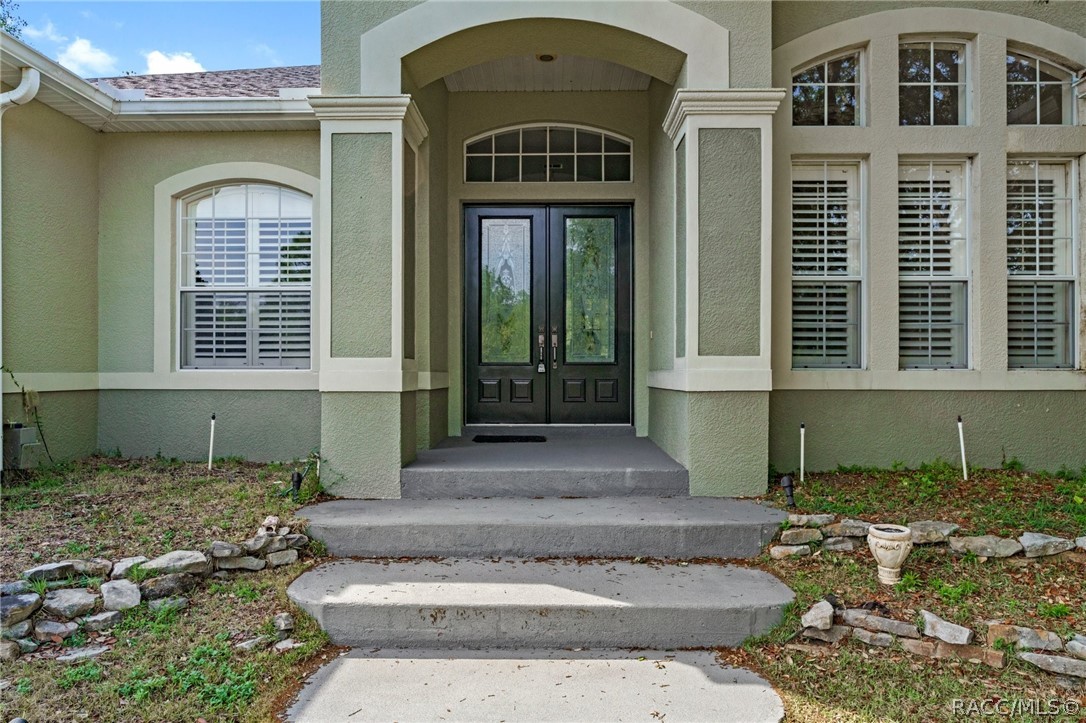 56 Black Willow Street