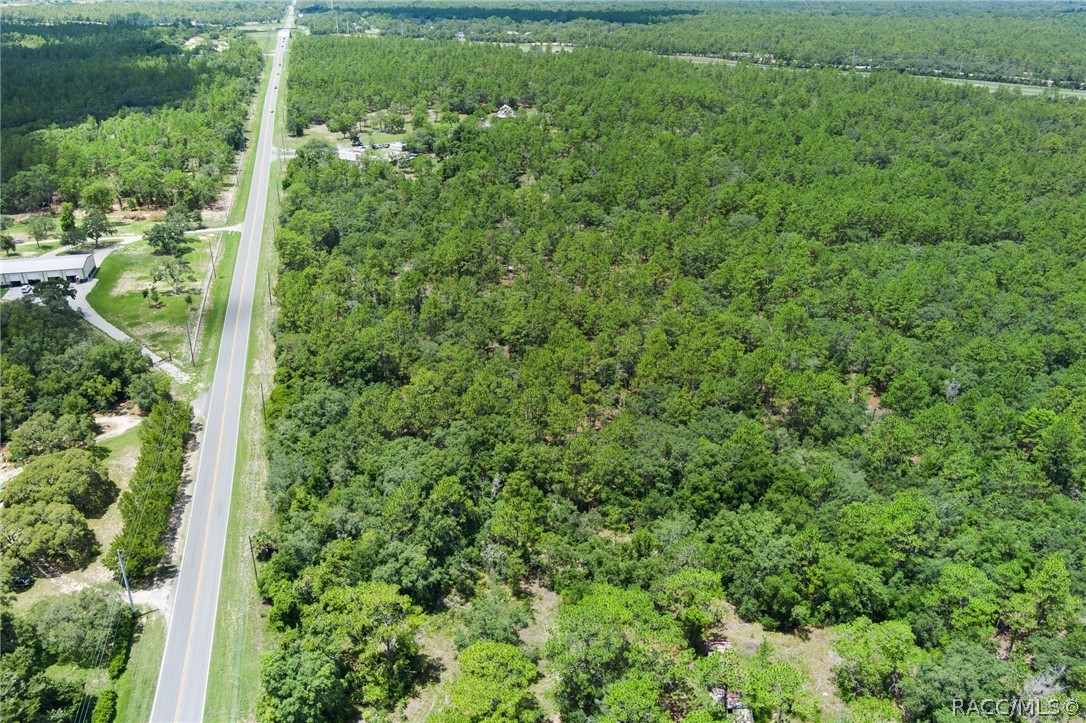 4479 W Homosassa Trail