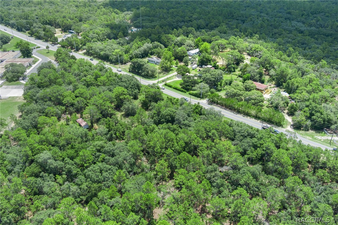 4479 W Homosassa Trail
