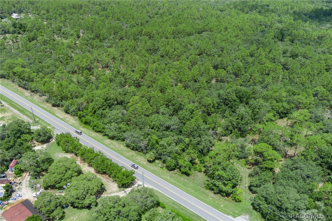 4479 W Homosassa Trail