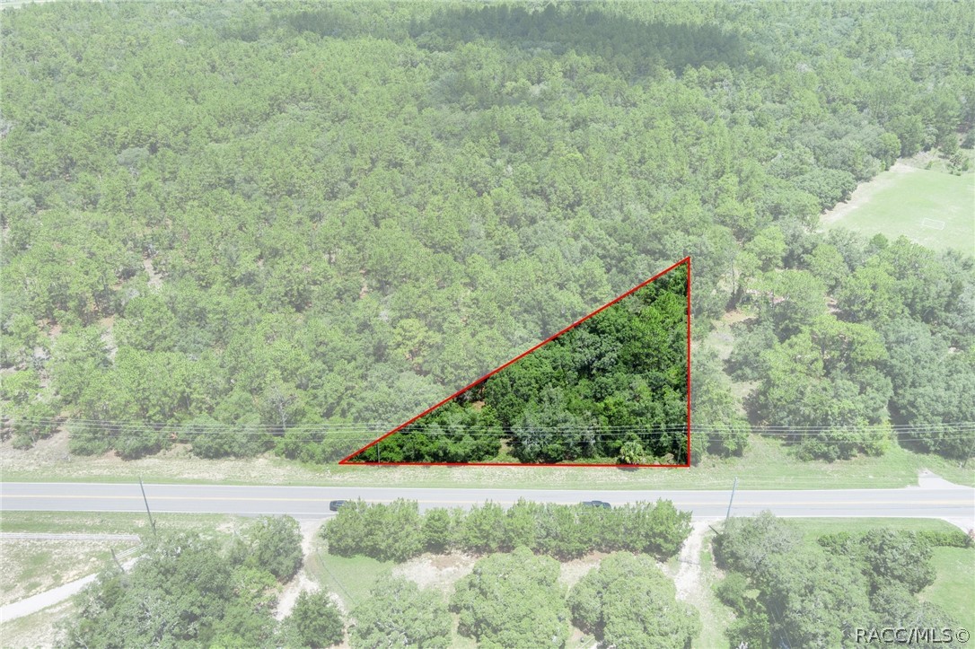4479 W Homosassa Trail