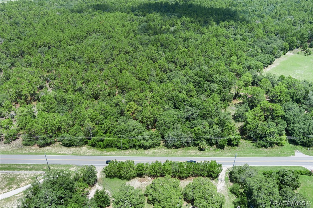4479 W Homosassa Trail