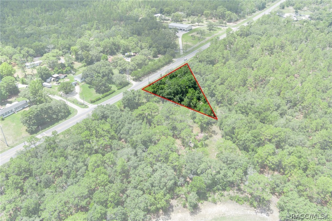 4479 W Homosassa Trail