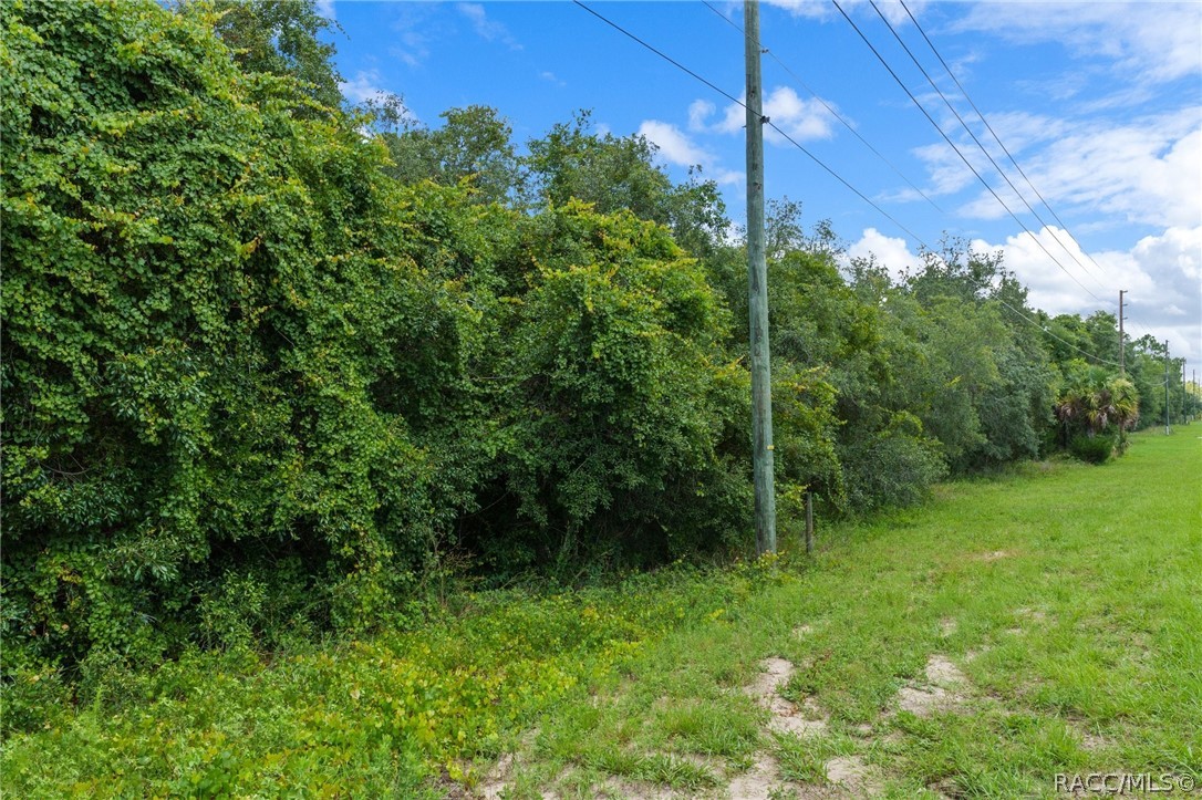 4479 W Homosassa Trail