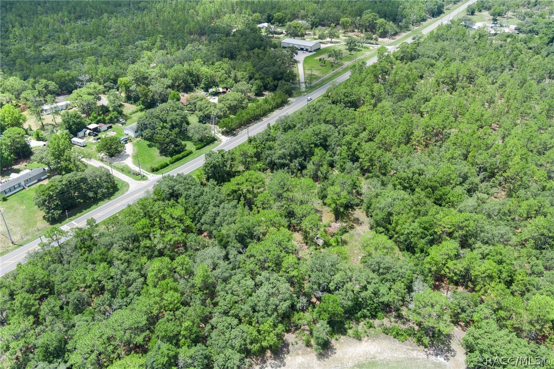 4479 W Homosassa Trail