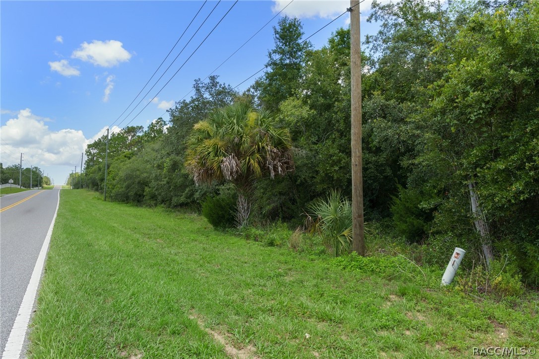 4479 W Homosassa Trail
