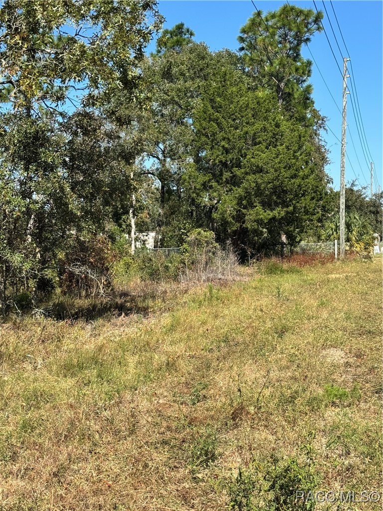 4401 W Homosassa Trail