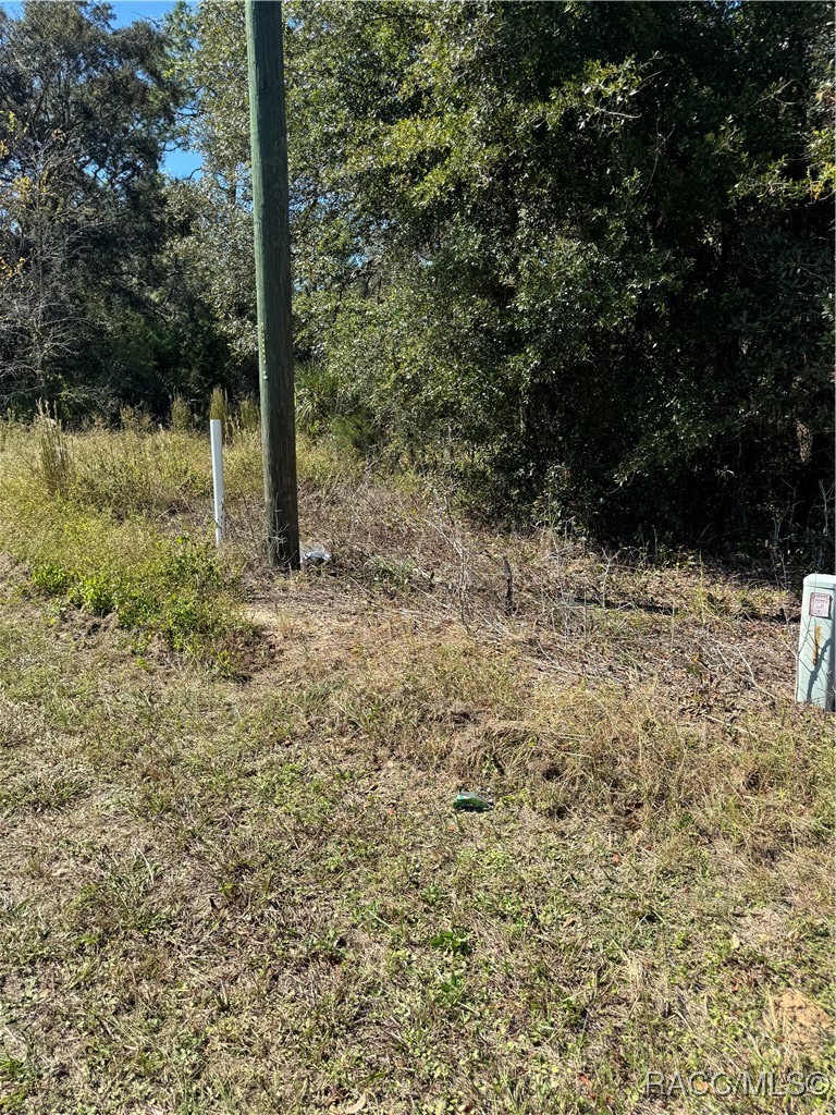4401 W Homosassa Trail