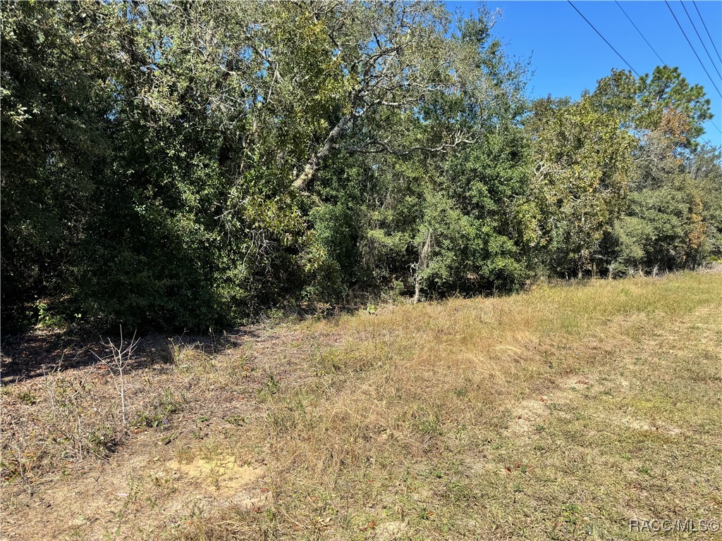 4401 W Homosassa Trail