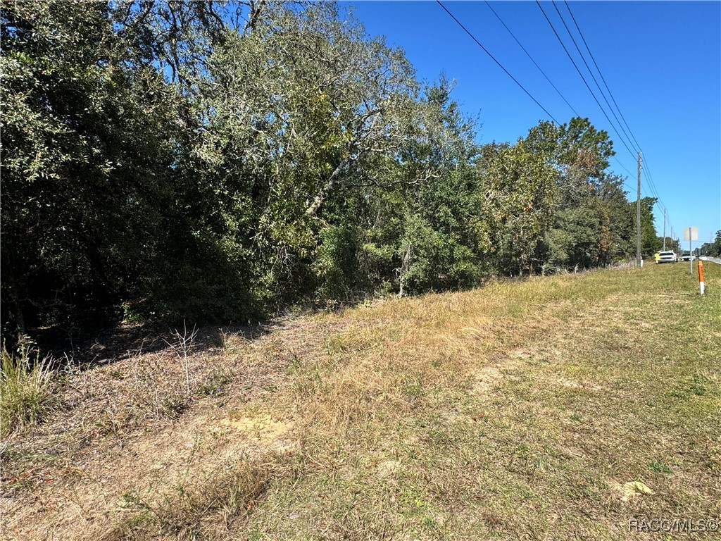 4401 W Homosassa Trail