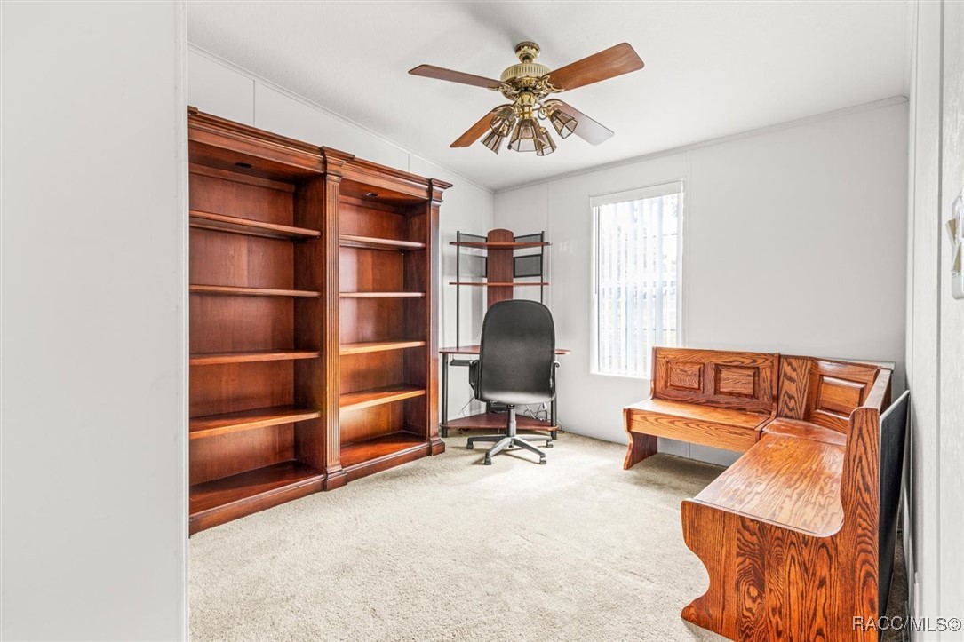 5237 W Winter Sun Lane