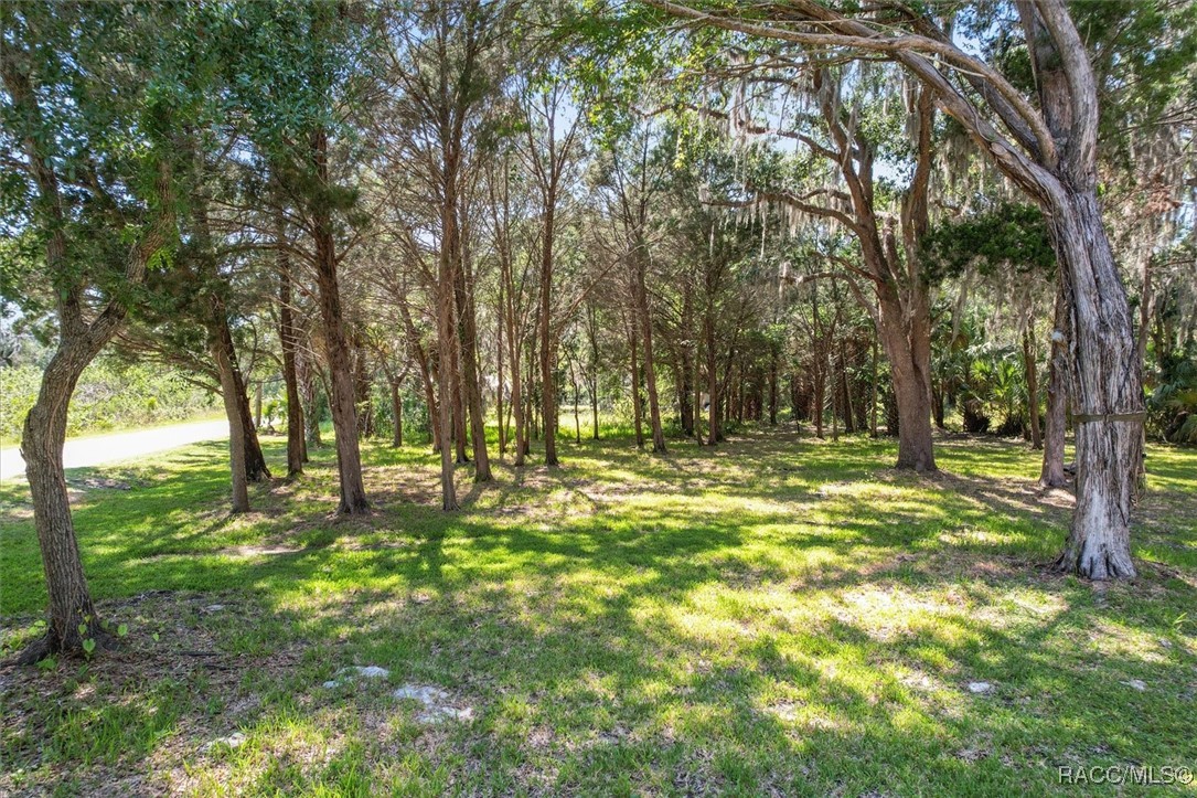 12167, 12195 W Red Maple Street