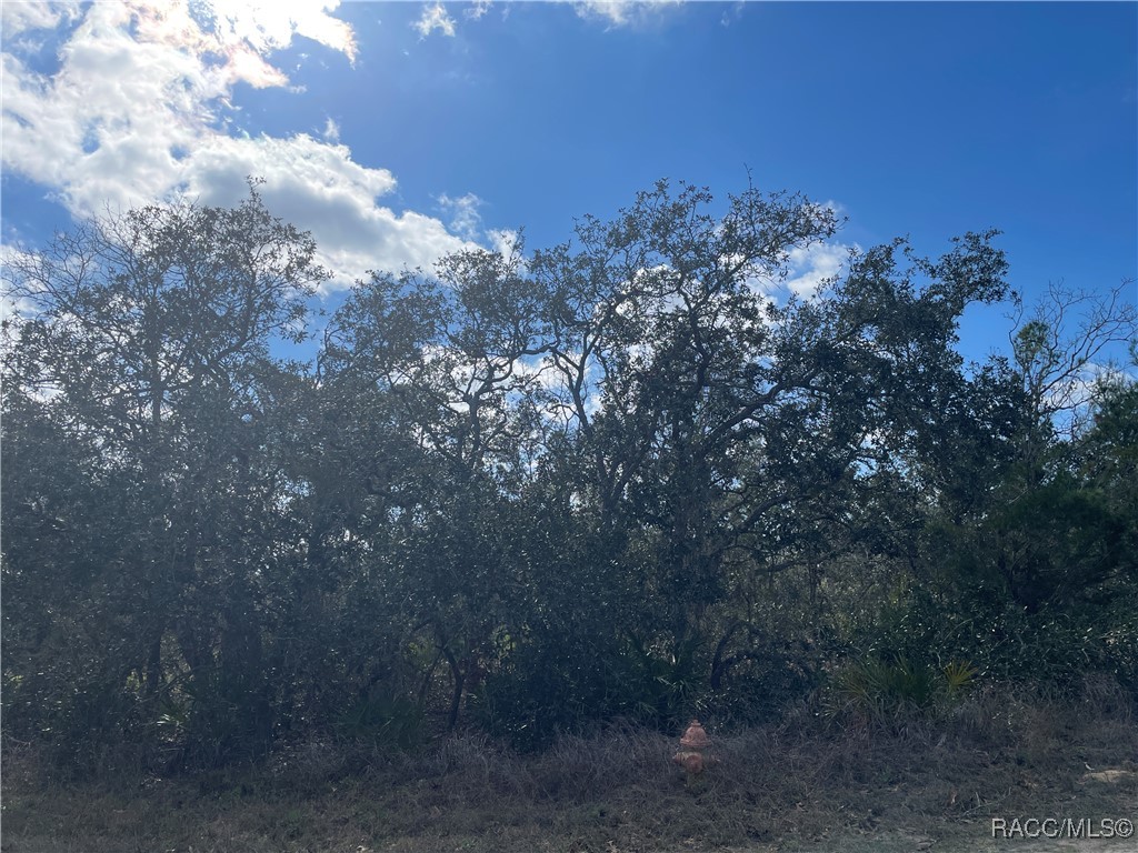 25 Freesia Court
