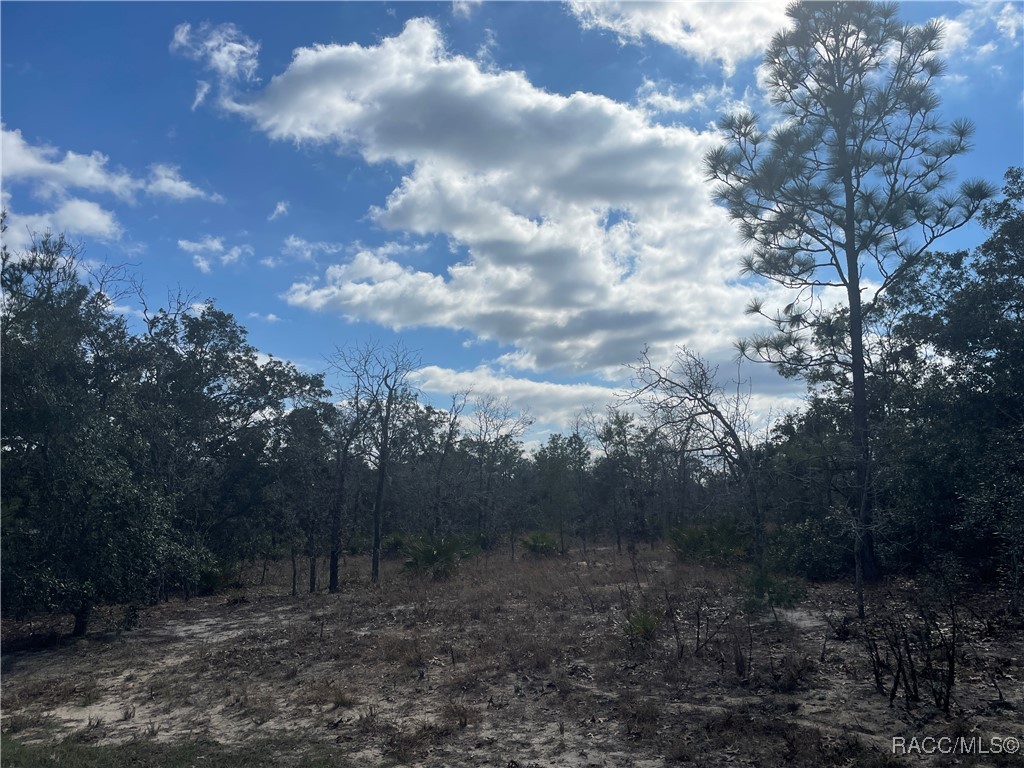 27 Freesia Court