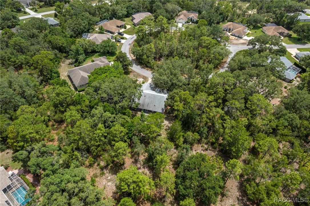11 Calendula Court E
