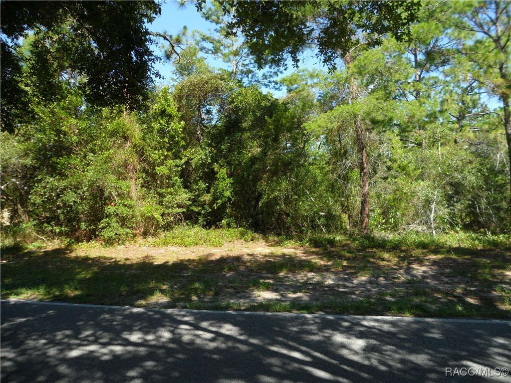 119 Oak Village Boulevard