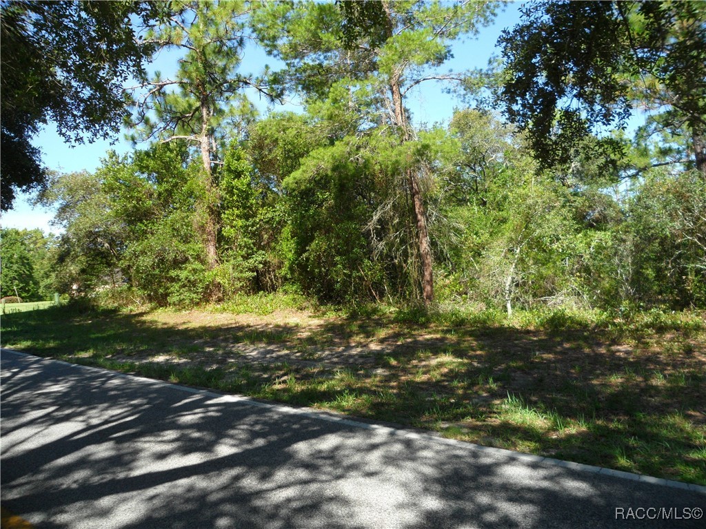 119 Oak Village Boulevard