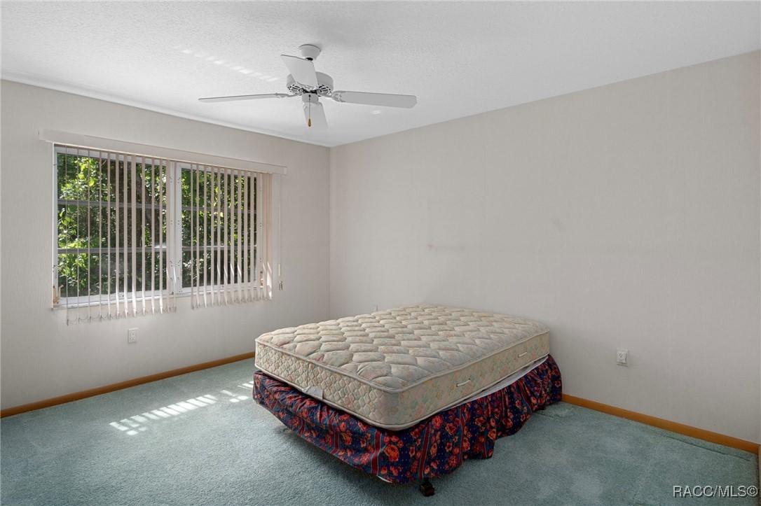 3 Gerbera Court