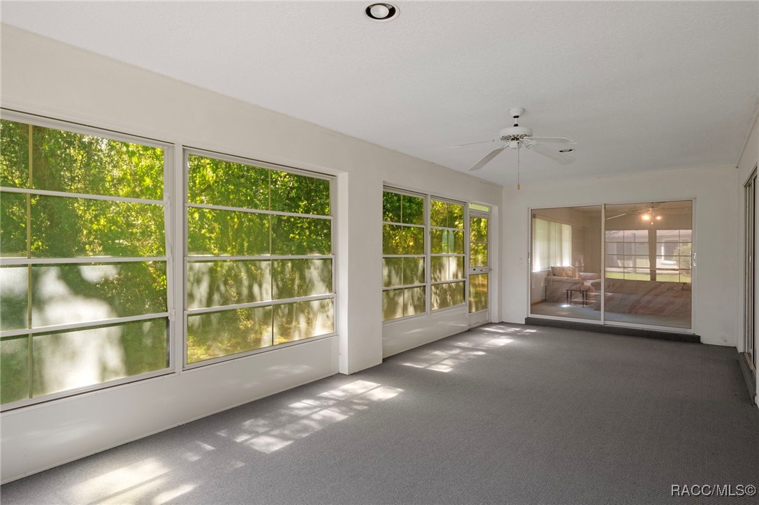 3 Gerbera Court