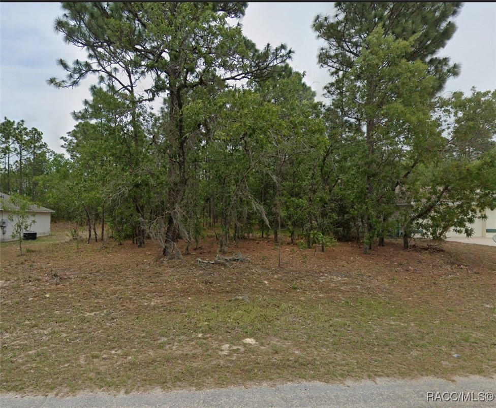 1485 W Lamplighter Street